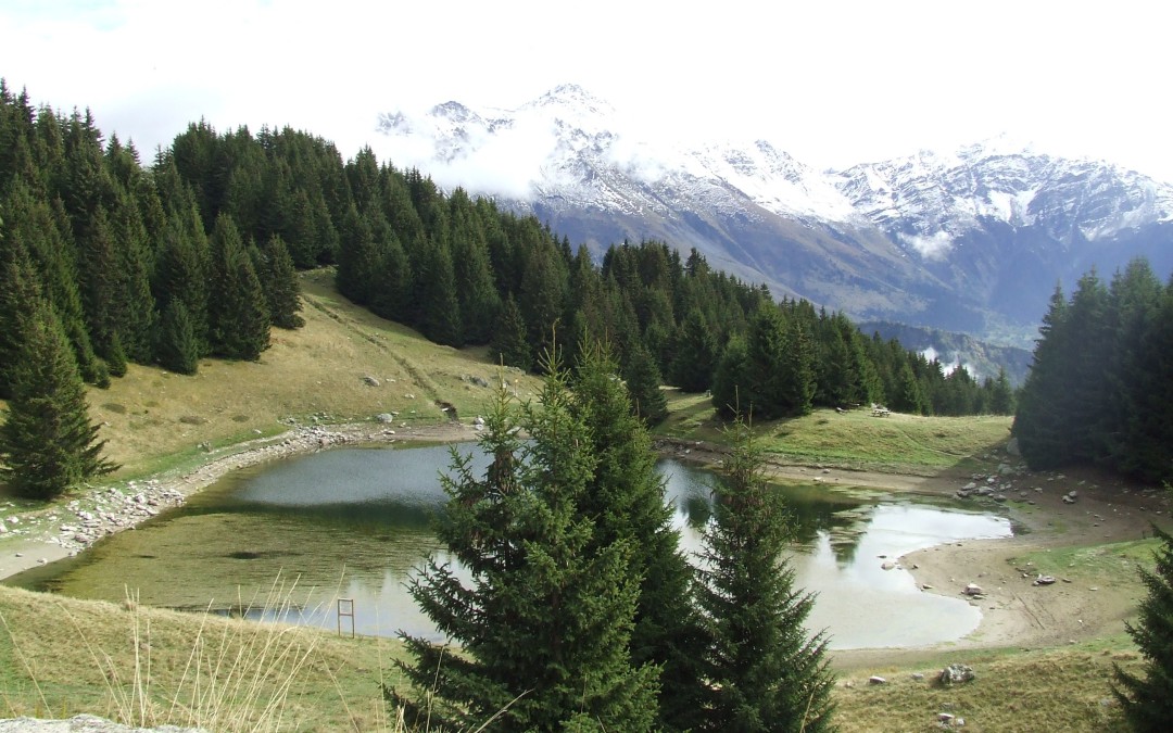 Le Lac de la Grande Léchère