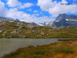 Lac et tourbière - CP Joris Angelloz (4)