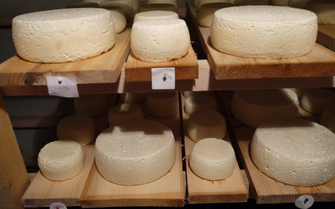 &laquo;&nbsp;Maurienne: entre industrie et agriculture&nbsp;&raquo;