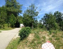 La Toussuire maillot à pois