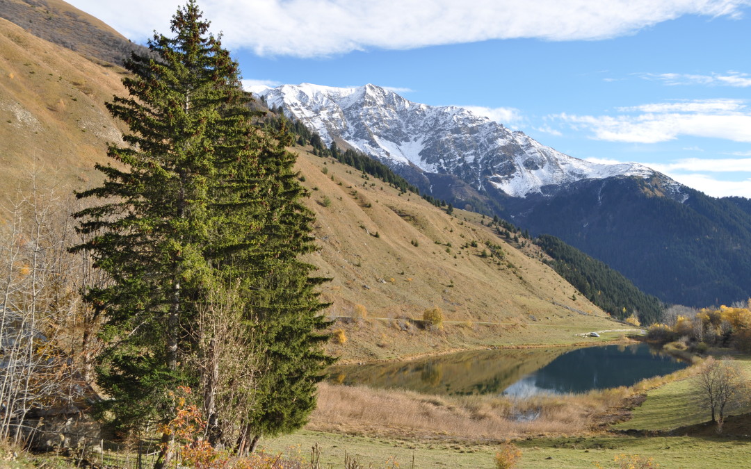 Le Lac du Loup