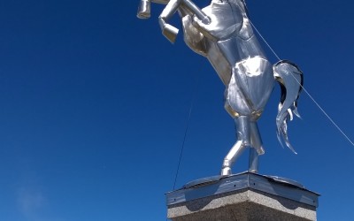 Cheval noir