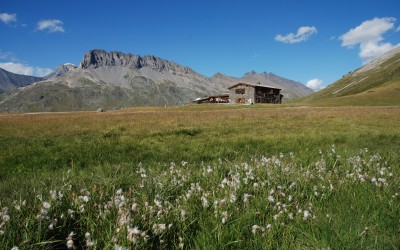 Plan du Lac - Parc national de la Vanoise