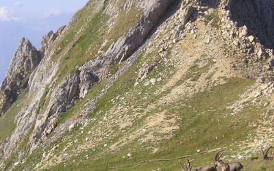 Grand Perron des Encombres