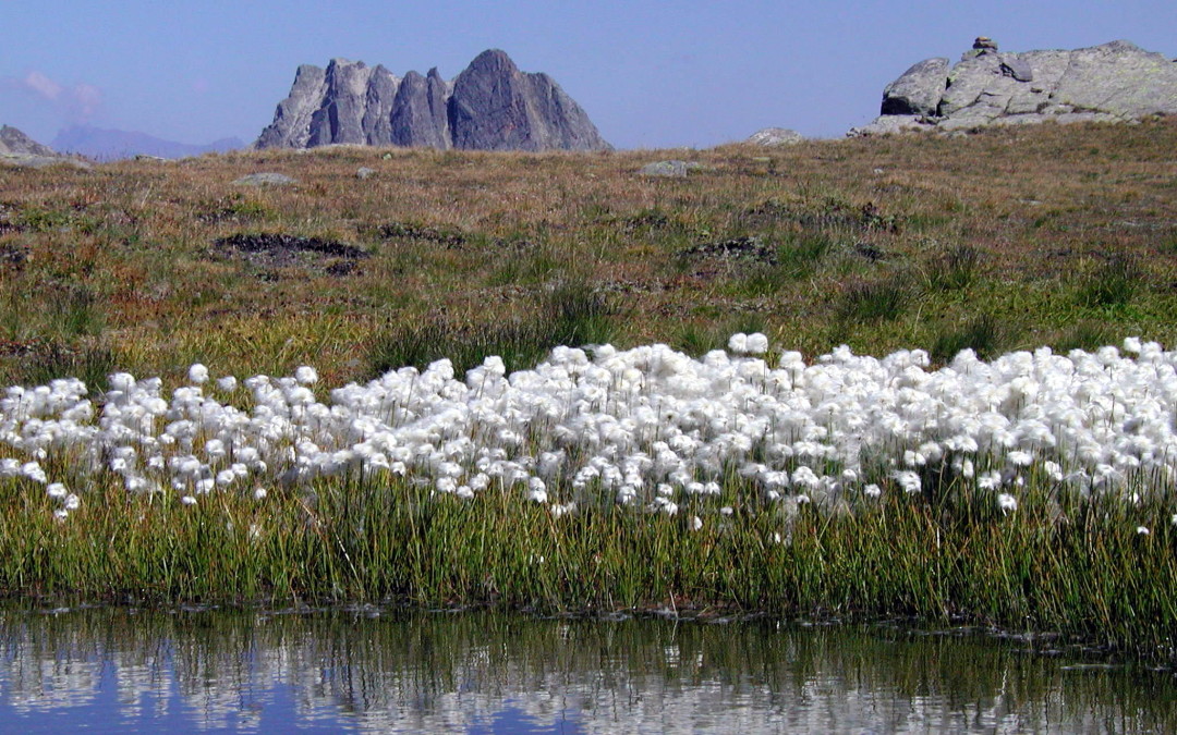 Le mont Thabor