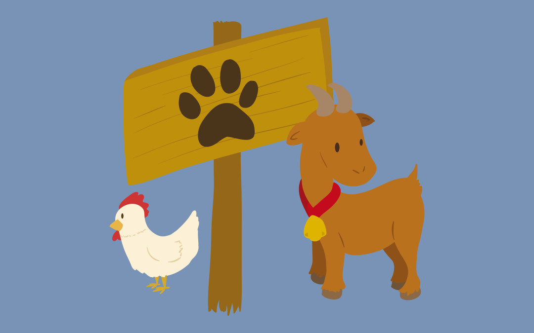 Accueil à la ferme